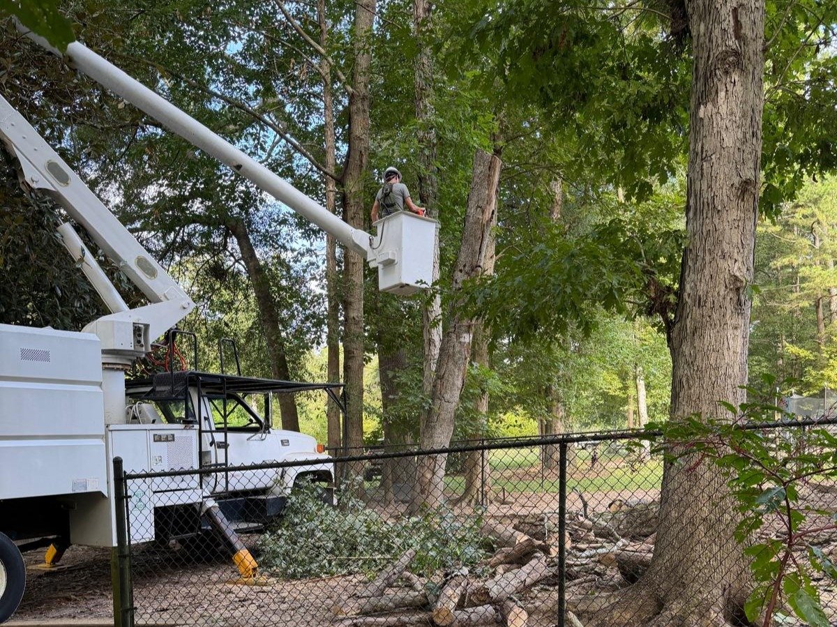 El Costeño Tree Service LLC